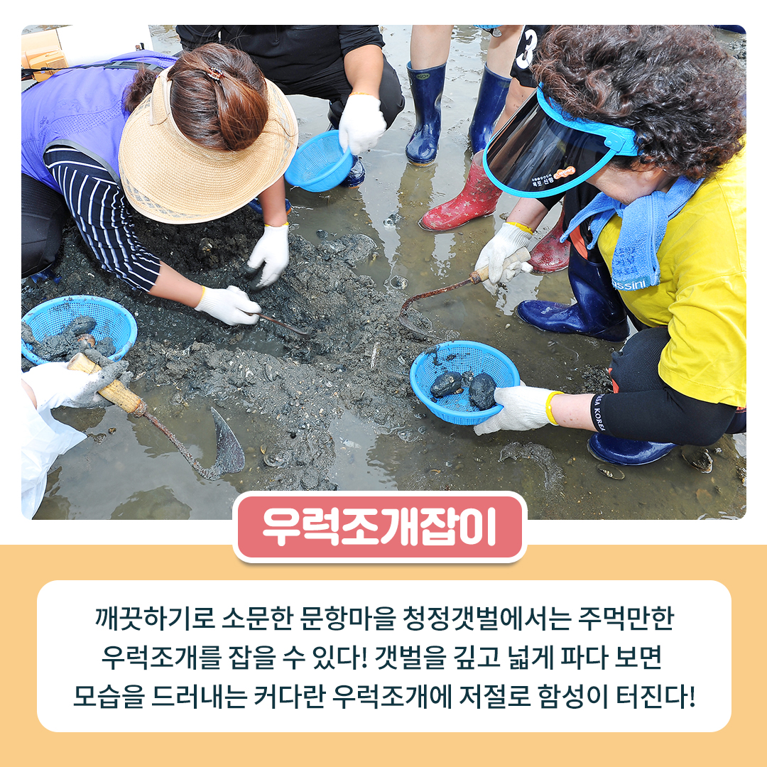 우럭조개잡이 깨끗하기로 소문난 문항마을 청정갯벌에서는 주먹만한 우럭조개를 잡을 수 있다! 갯벌을 깊고 넓게 파다 보면 모습을 드러내는 커다란 우럭조개에 저절로 함성이 터진다!